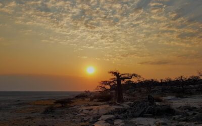 BOTSWANA: Makgadikgadi Pan i Kubu Island