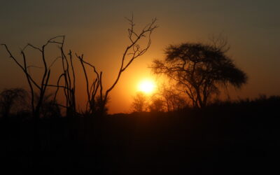 NAMIBIA: La franja de Caprivi – Mahango