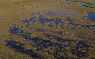BOTSWANA: Okavango Delta and Maun