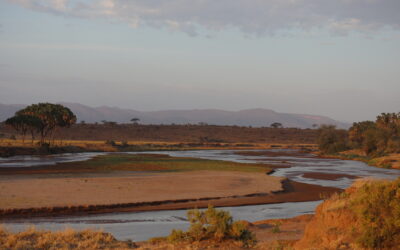 KÈNIA: La reserva de Samburu