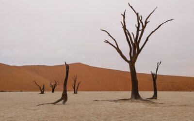 NAMIBIA: El desierto del Namib