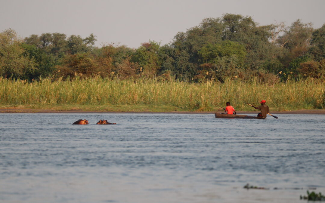 ZAMBIA: El Lower Zambezi
