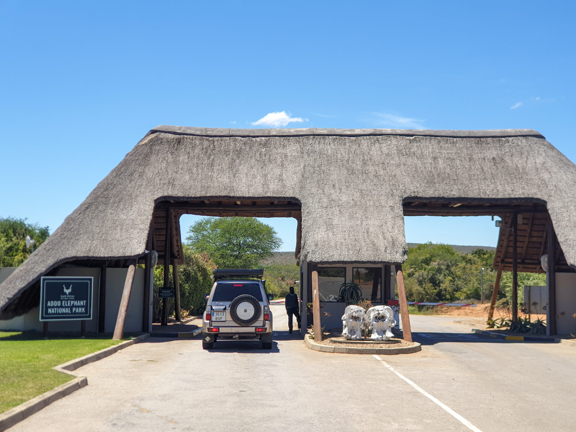 SUD FRICA Addo Elephant National Park Africanlanders