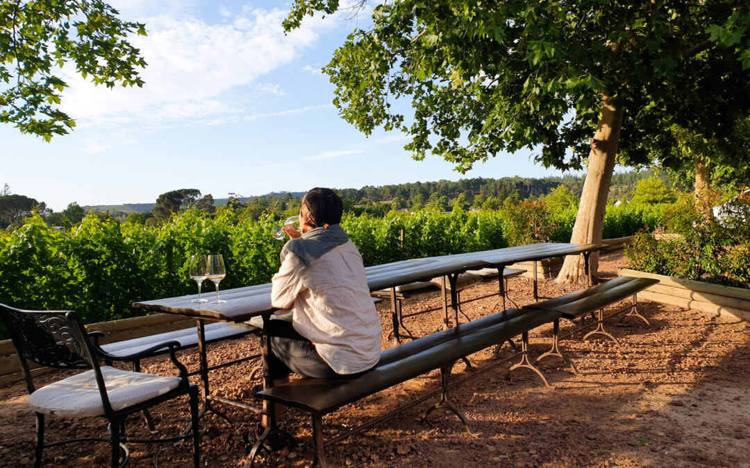 SOUTH AFRICA: The Wine Route